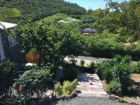 Private Pool overlooking ocean, large deck on Estate Property.  Great Privacy.