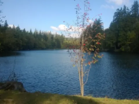 FeWo Kupferstollen calm u. right on the forest, with balcony u. WiFi 聖安德里斯伯格酒店