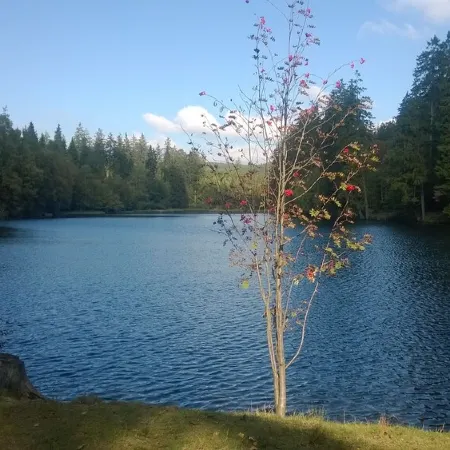 FeWo Kupferstollen calm u. right on the forest, with balcony u. WiFi