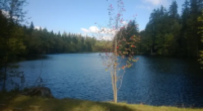 FeWo Kupferstollen calm u. right on the forest, with balcony u. WiFi