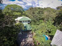 Incredible Tropical Retreat Full of Monkeys, Sloths, Toucans and much more