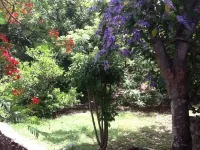 Romantic Tropical Hideaway - Birds & Bees Cottage Hotels in 