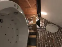 Large room with whirlpool Hotel a Kortenberg