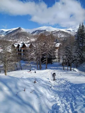 Didveli Residence Apartment 23 Отели рядом с достопримечательностью «Starting point. Trail to Tsaghveri»