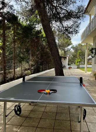 Spectacular villa with private pool. Отели рядом со станцией Monte Estoril