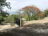 A Tropical Getaway!