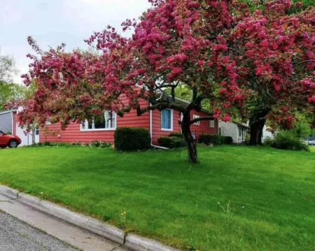 Cherry Corner Cottage-Vintage 3 Bedroom Home *instant booking*