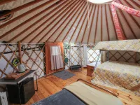Blaidd Bach Hotels in Lampeter