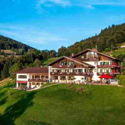 Alpenhotel Denninglehen Hotel Exterior