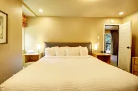 Amazing Ski-in Ski-Out Condo, Pet Friendly - Very Spacious - cm236 - バルコニー