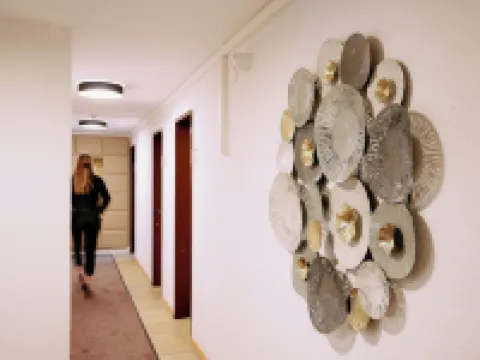 Elite Hotels in Visp