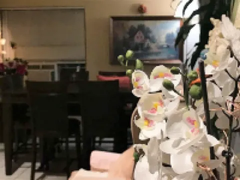 カクタス イン アンド スイーツ