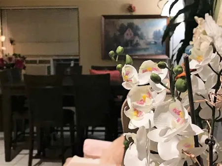 Cactus Inn and Suites