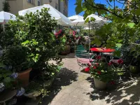 Hotel Mozart Hotels in Rorschach