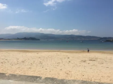 Vigo Green