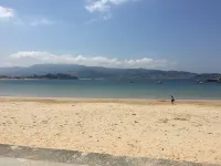 Vigo Green