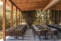 Cook's Club Corfu - Adults Only Hotels in Gouvia