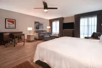 Homewood Suites by Hilton Tuscaloosa Downtown - bar