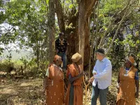 레인지 뷰 로지 Mathioya 호텔