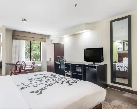 Sleep Inn Austintown - Youngstown, West Hotels in Austintown