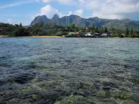 AT THE SHORE ON ALIOMANU BAY-TVNC-1127