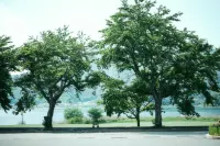 SANU 2nd Home Kawaguchiko2nd Hotels in Narusawa