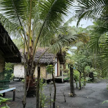 Jungle Oasis Bungalow
