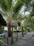Jungle Oasis Bungalow Hotels in 