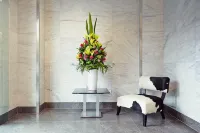 크라운 온 다비 뉴캐슬