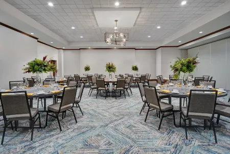 Hilton Garden Inn Houston Medical Center, TX Отели рядом с достопримечательностью «Хьюстонский университет»