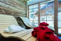 Chalet vacation in the Salzburg mountains with private saunaChalet vacation with dog Hotels in Grossarl