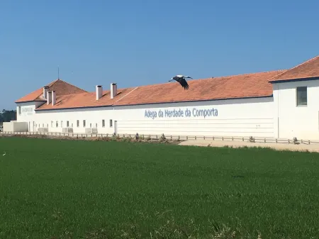 Charming apartment located in Soltroia