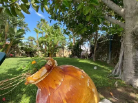 Villa Thalissa - Luxury Home with pool and jacuzzi sea view