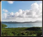 Sea view from Villa Parme Hotels in Le Robert
