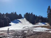 Cozy 2-bedroom Cedar cabin in charming Sequoia National Park with WiFi