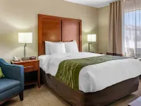Comfort Inn Albuquerque Airport Hotels in Bernalillo County