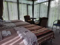 Venerika's Hut Venerica Hut Hotels in Gori