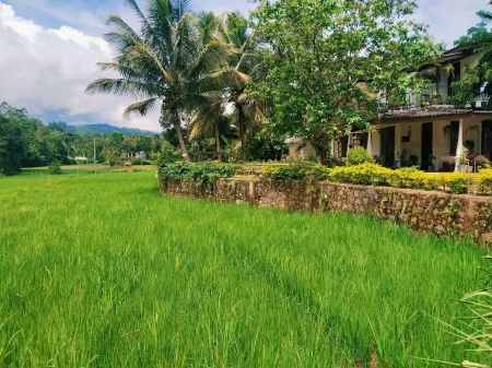 Ella Nature Valley Homestay- Family Friendly Lovely Place surround by mountains.