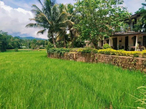 Ella Nature Valley Homestay- Family Friendly Lovely Place surround by mountains.