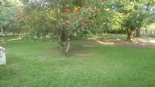 Casa Aconchegante - Sitio Maravilhoso