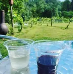 Cozy 2 bedroom Cabin w/hot tub!