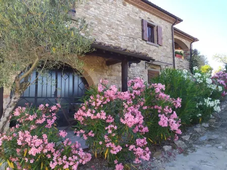 Ancient Borgo restored on top of the hill (Fuoco)