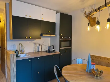 Renovated 4/6-person apartment in Les 2 Alpes, 100m from the slopes Отели в г. Веноск