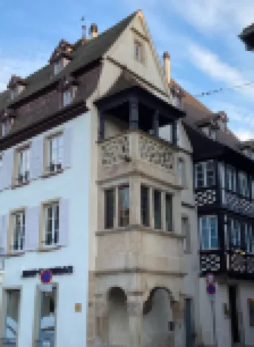 Apartment and garden in house in Obernai