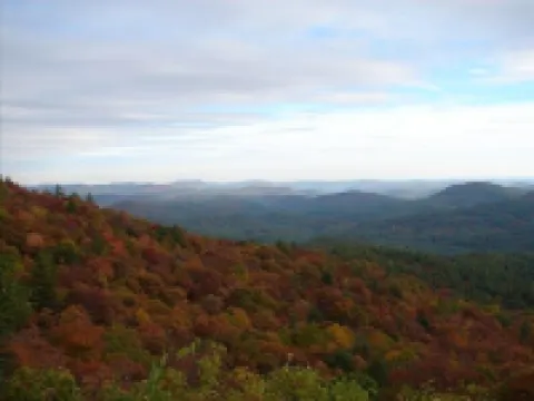 Enjoy 'Treetops' in the North Ga Mountains.  Now with Wifi!