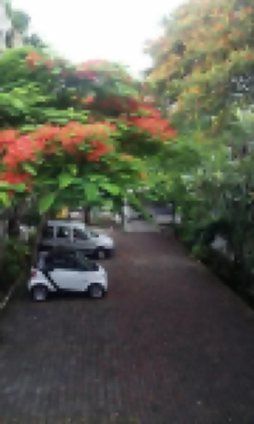 安潔拉卡羅琳娜酒店