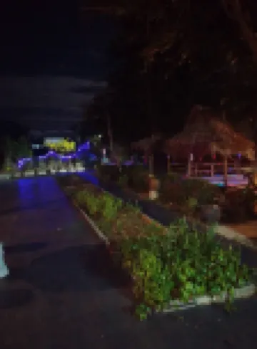 Crowd free own pace and space