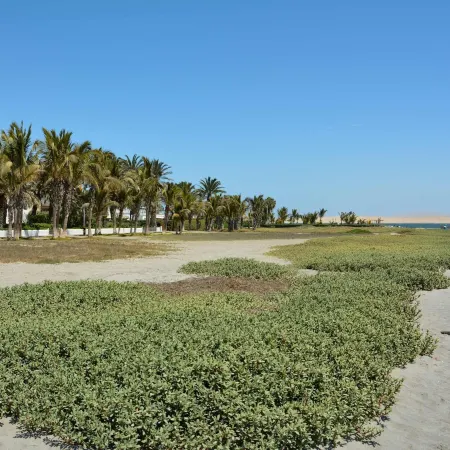 Modern 5Br House with Private Pool in Paracas