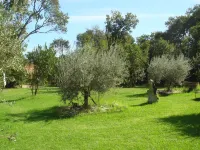 Holiday Home in Corsica near the Beach
