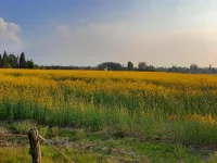 Holiday Home in Chilleurs near Château - 2-Star